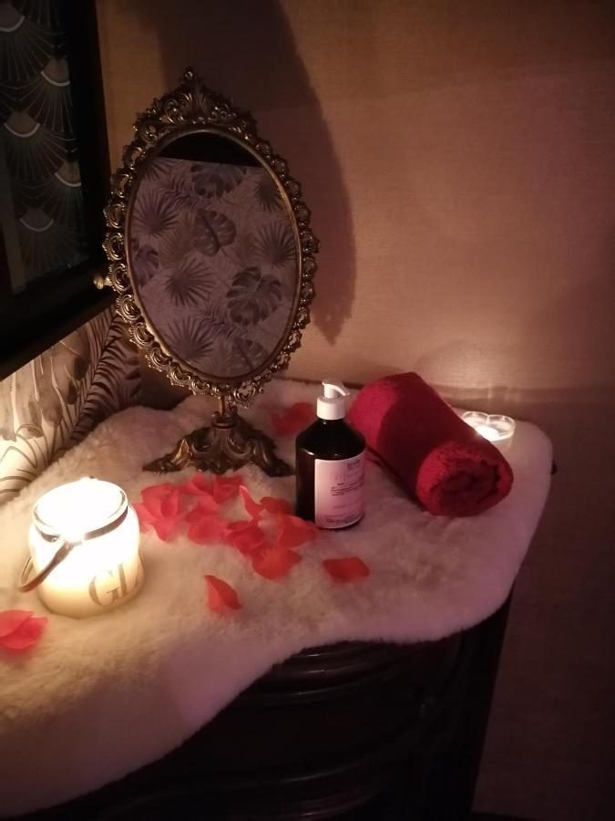 Romantisme Et Glamour Avec Spa ,Jardin Proche Zenith 第戎 外观 照片